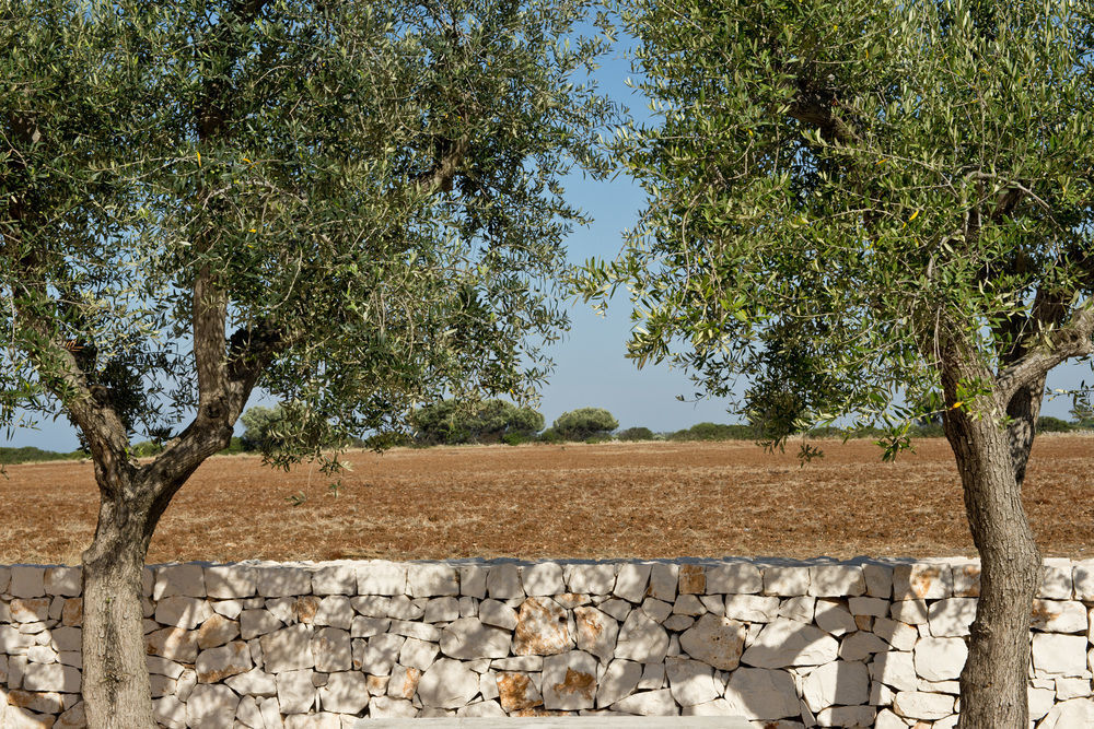 Grand Hotel Masseria Santa Lucia オストゥーニ エクステリア 写真